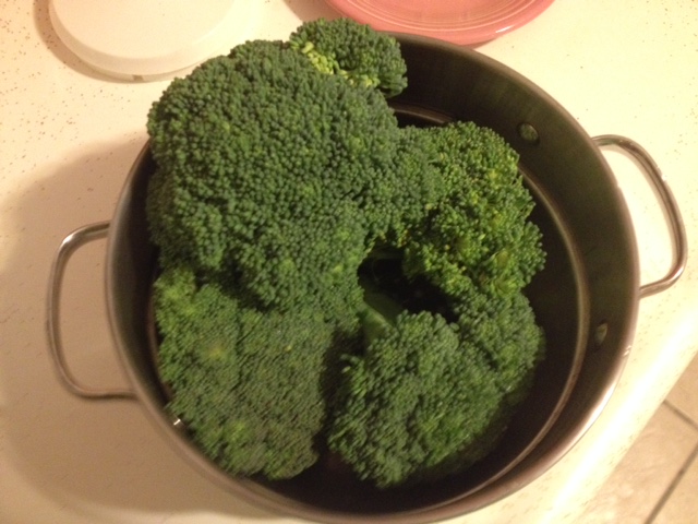 Fresh Broccoli