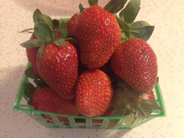 Fresh Ponchatoula Strawberries 