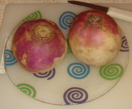 turnip roots
