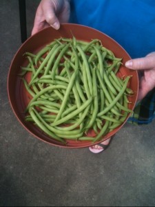 Green Beans